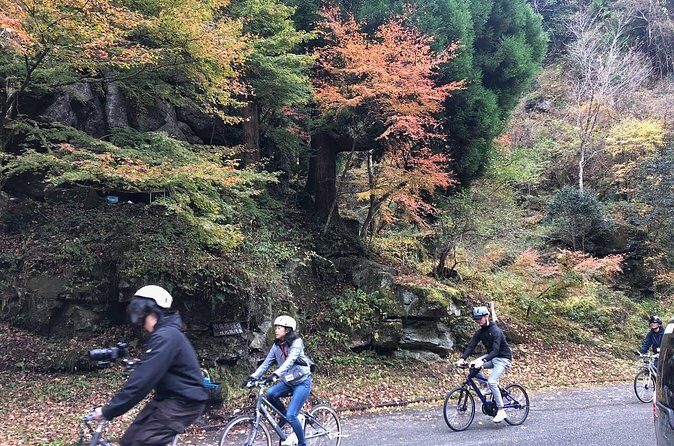 Guided e-Bike Tours in Bungoono City - Who Would Love This Tour?