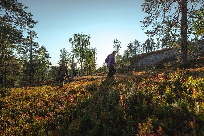 guided-easy-hike-in-finland-deepest-gorge-in-pyha-luosto-national-park