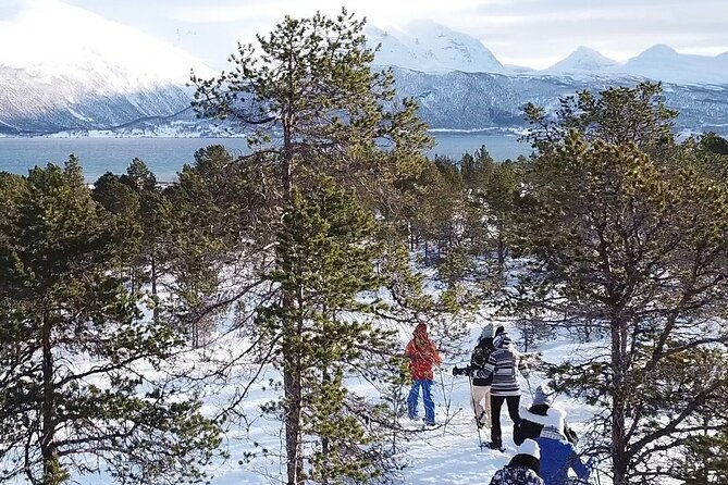 guided-easy-snowshoeing-with-a-visit-to-local-cafe