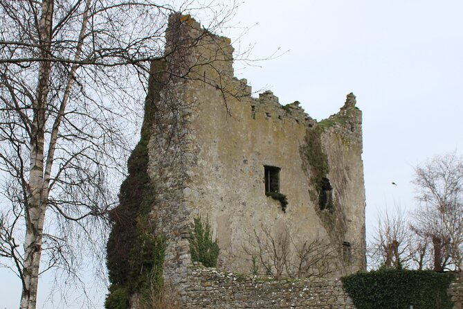 guided-ebike-tour-killaloe-and-the-lough-derg-shore-2