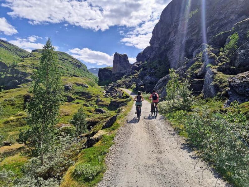 Guided, electric bicycle tour from Vatnahalsen (near Flam) - Exploring the Norwegian Mountains on Two Wheels: A Review of the Vatnahalsen Electric Bicycle Tour