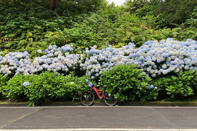 guided-electric-mountain-bike-in-sete-cidades