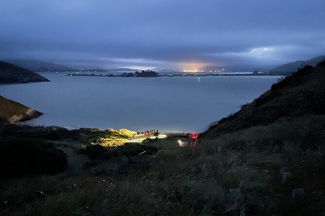 Guided Evening Penguin Viewing Otago Peninsula, Dunedin, New Zealand - What Makes This Tour Stand Out?