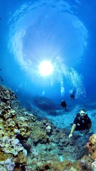 Guided exploration for certified divers (N1, PE20, Open Water min.) - What to Expect on Your Dive