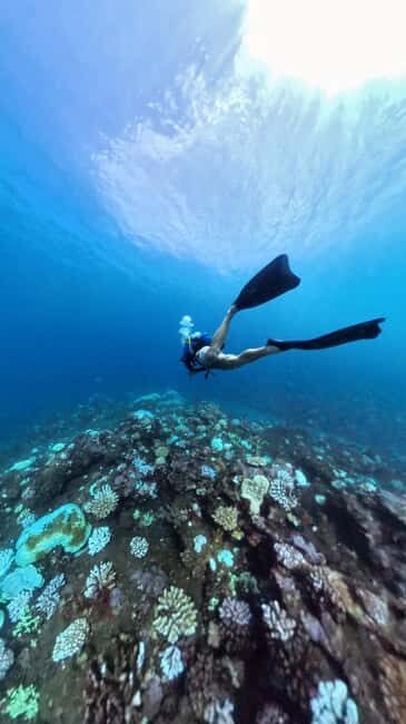 Guided exploration for certified divers (N1, PE20, Open Water min.) - Frequently Asked Questions