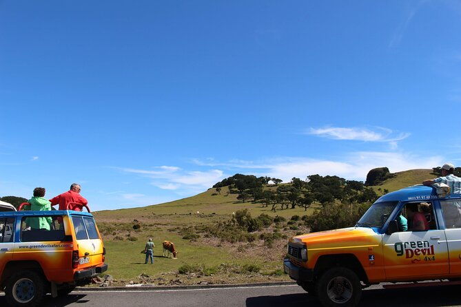 guided-exploration-of-southwest-madeira-in-a-4x4
