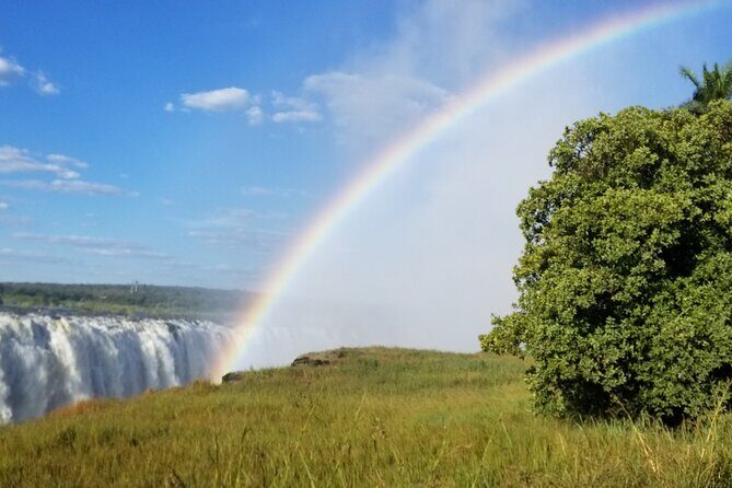 Guided Falls Tour & Zambezi River Cruise Combo - What Makes This Tour Special