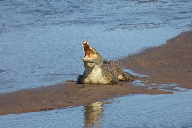 Guided Falls Tour & Zambezi River Cruise Combo - Authenticity and Review Insights