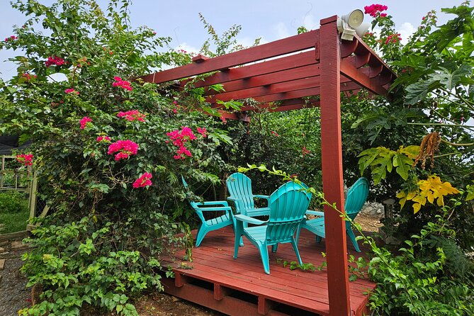 guided-farm-tour-with-local-treats-and-beach-experience