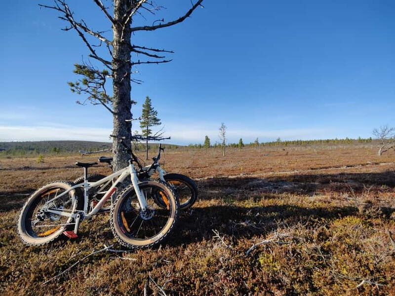 Guided Fatbike Tour in Ivalo - A Closer Look at the Guided Fatbike Tour in Ivalo