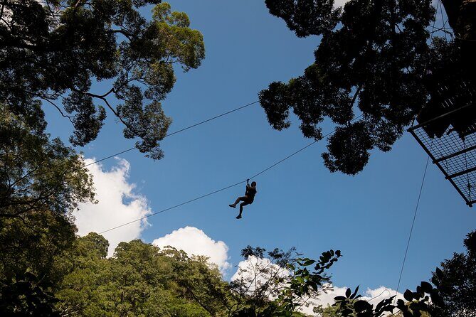Guided FH1 Zipline Adventure at Hanuman World - Key Points