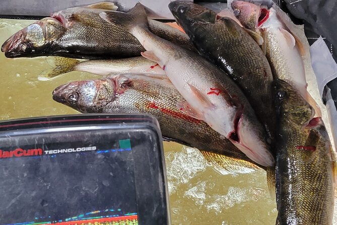 guided-fishing-adventures-in-castle-rock-lake