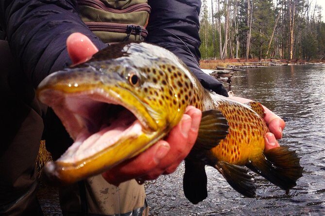 Guided Fishing Trip in Jackson Hole - Key Points