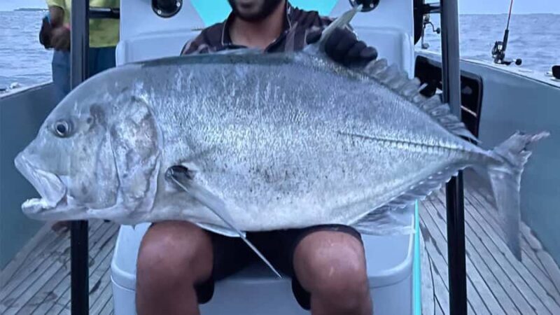 Guided fishing trips in Maldives - The Sum Up