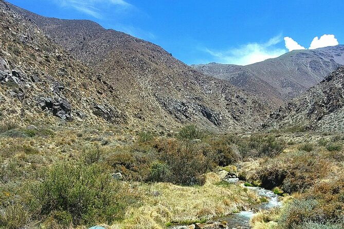 guided-fly-fishing-tour-in-estancia-la-carrera
