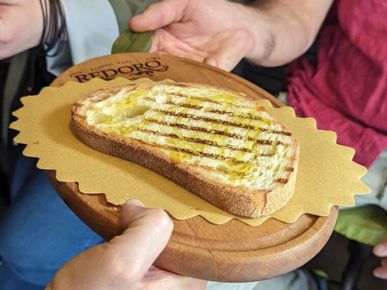 guided-food-tour-with-wine-tasting-in-verona