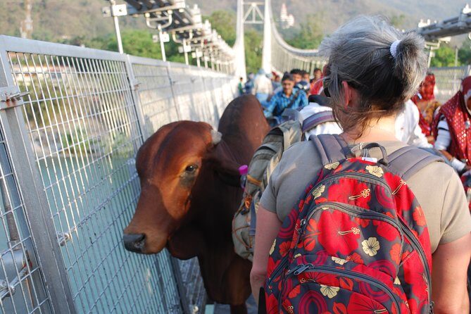 Guided Food Walking Tour in Rishikesh with a local - Best of Culture & History - Practical Details and Tips
