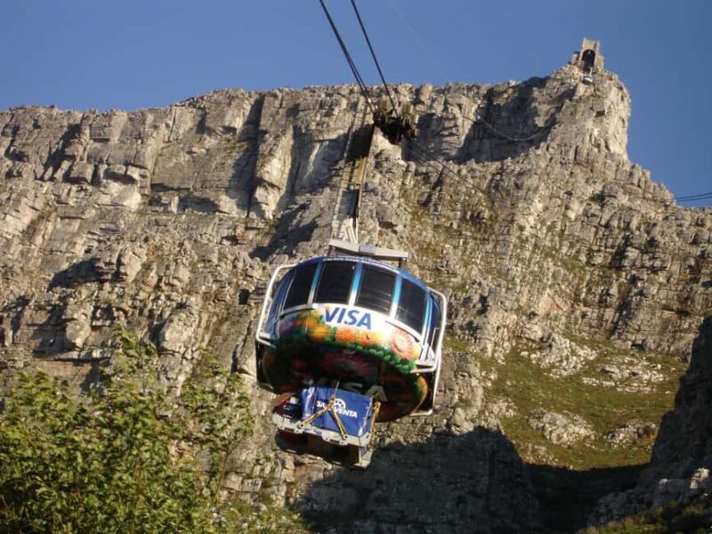 Guided Forest Hike Tour on Table Mountain, Cape Town - Guided Forest Hike Tour on Table Mountain, Cape Town