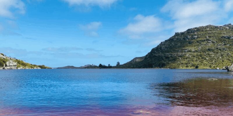 Guided Forest Hike Tour on Table Mountain, Cape Town - Who Will Love This Tour?