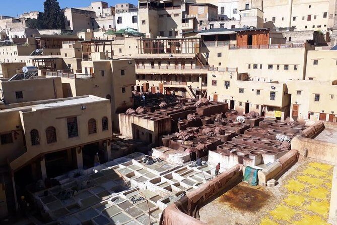 Guided Full-Day Tour of Fez with driver&guide - Who Will Love This Tour?