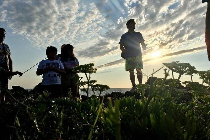 guided-geological-excursion-to-ustica-2