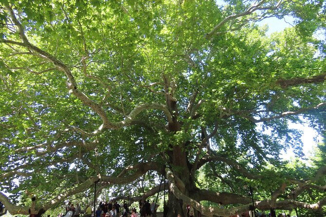 guided-green-bursa-tour-with-cable-car-from-istanbul-to-uludag