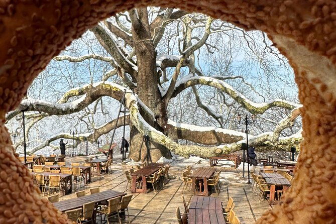 guided-green-bursa-tour-with-cable-car-from-istanbul-to-uludag