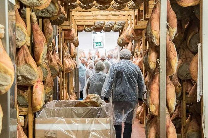 Guided group tour TastyBus: Parmesan Cheese and Parma Ham - Who Will Love This Tour?