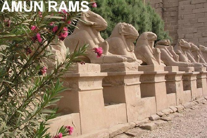 Guided Half-Day Tour of Nile East Bank from Luxor by Air-Conditioned Vehicle - Value for Money
