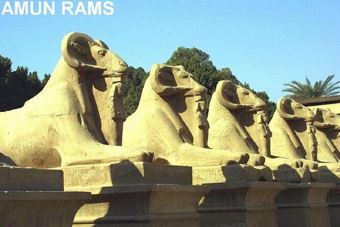 Guided Half-Day Tour of Nile East Bank from Luxor by Air-Conditioned Vehicle - FAQs