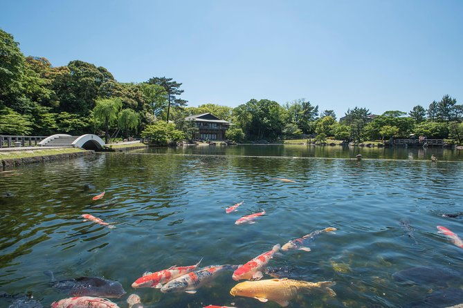 guided-half-day-touram-to-nagoya-castle-tokugawa-museum-and-garden