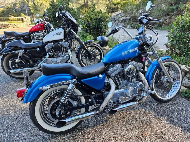 Guided Harley tours with lunch - Who Would Love This Tour?