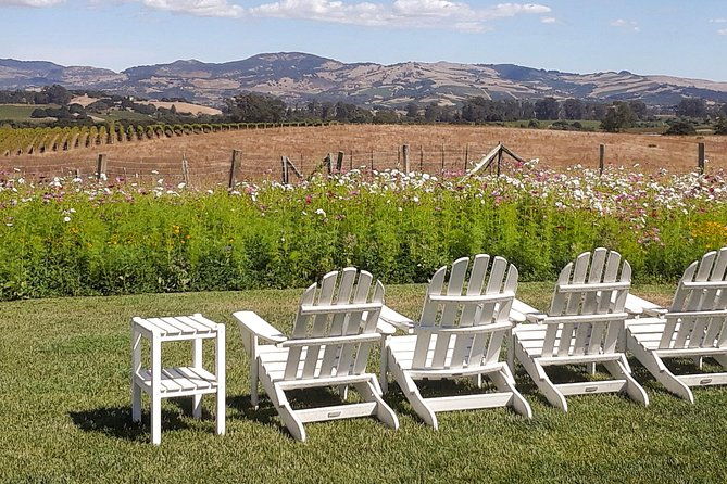 guided-healdsburg-wine-country-bike-and-wine-tasting-tour-with-lunch