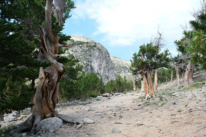 guided-hike-in-rockies-half-day-trip