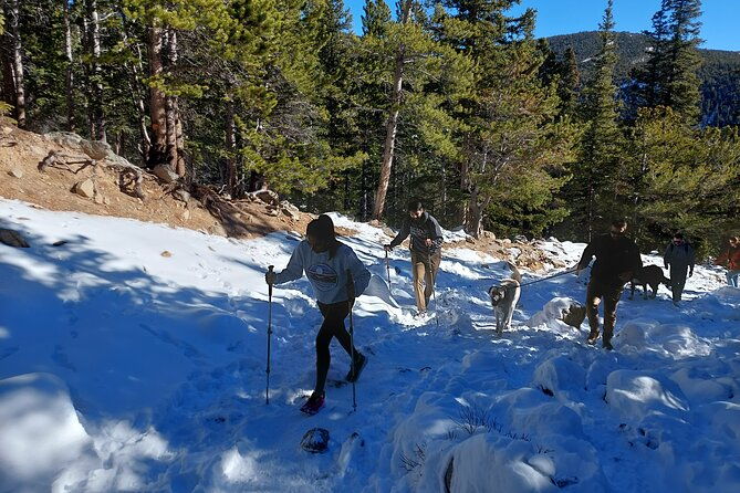 guided-hike-in-rockies-half-day-trip