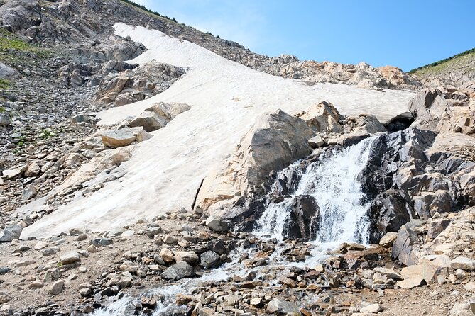 guided-hike-in-rockies-half-day-trip