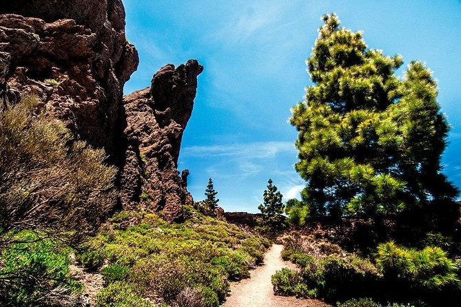 guided-hike-the-tajinaste-trail