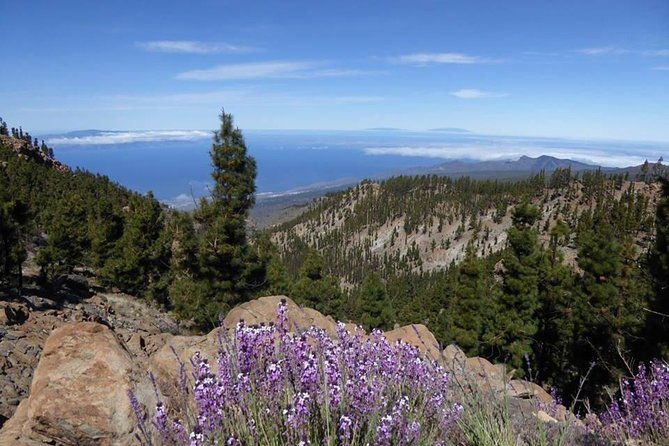 guided-hike-the-tajinaste-trail