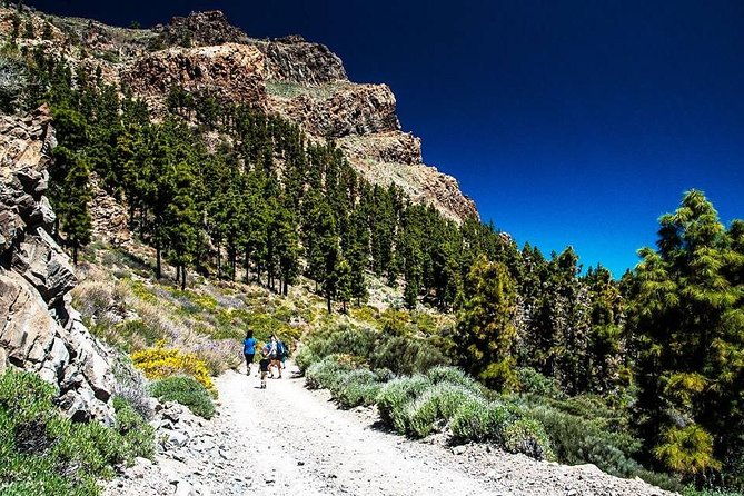 guided-hike-the-tajinaste-trail