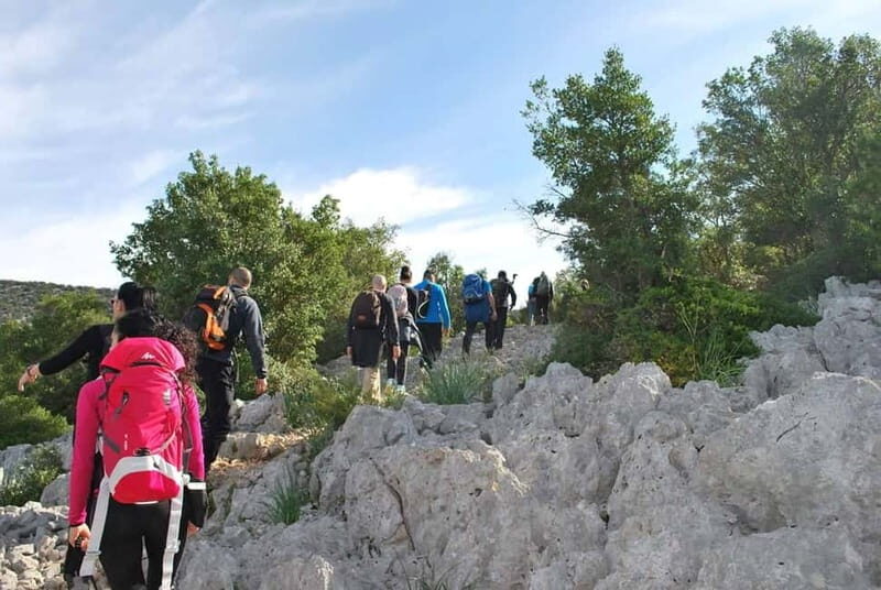 Guided hike to Cala Mariolu - Key Points