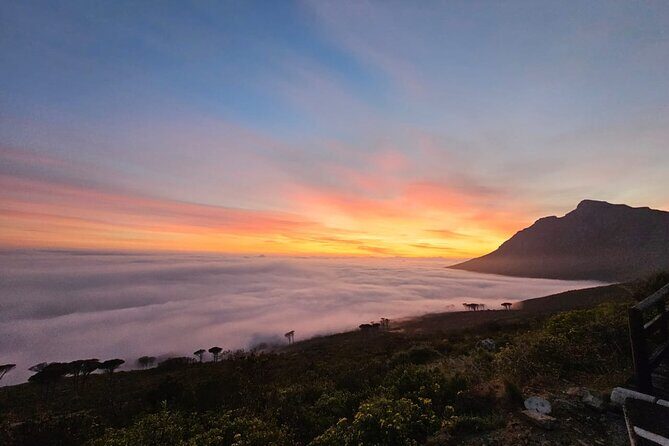 Guided Hike to Lions Head Cape Town by Sunrise or Sunset - Who This Tour Is Best For