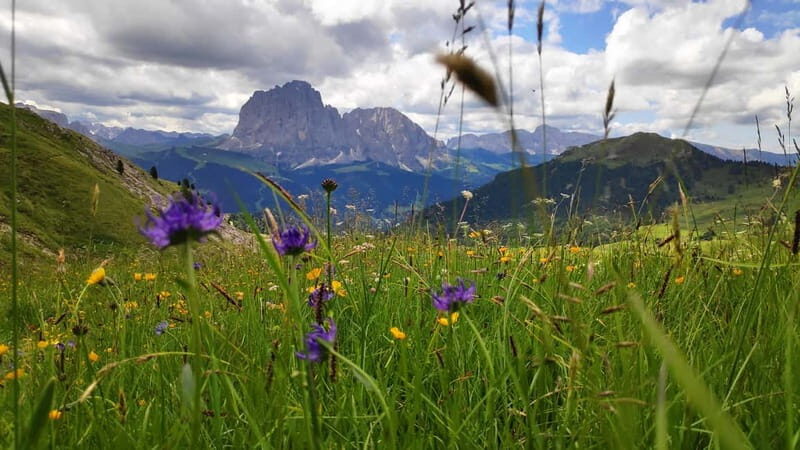 Guided hiking tour in South Tyrol and the Dolomites with IML hiking guide - Who Should Consider This Tour?