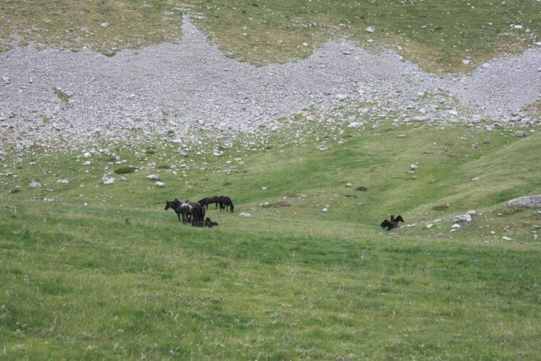 guided-hiking-tour-to-the-dragon-lake-of-mountain-tymfi