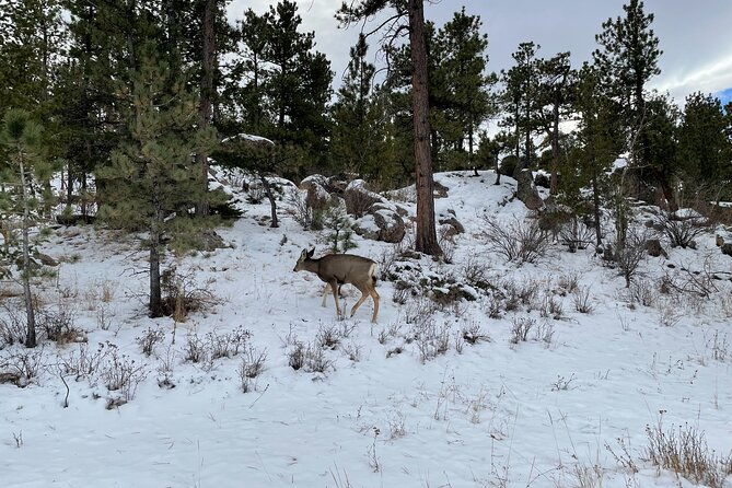 guided-hiking-tours-near-fort-collins-2