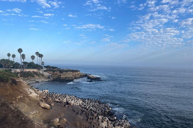 guided-historic-la-jolla-village-walking-tour