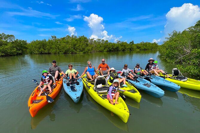 Guided Hobie Kayak EcoTour: Premium Eco Experience Bonita Springs - What to Expect During the Tour