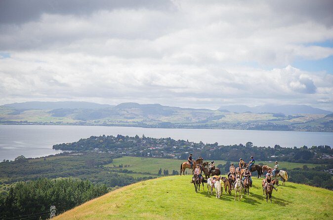 Guided Horse Trekking from Rotorua - Why You’ll Love the Guided Horse Trek from Rotorua