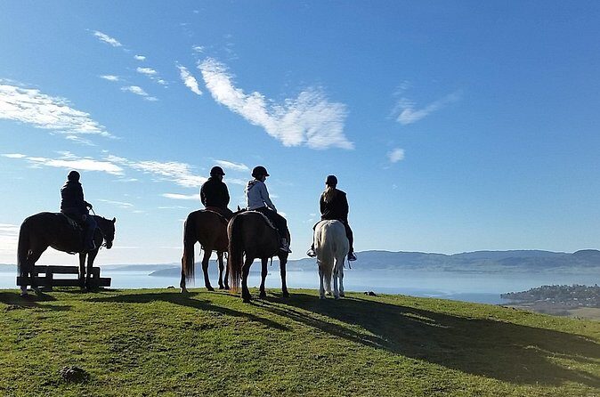 Guided Horse Trekking from Rotorua - Who Should Consider This Tour?
