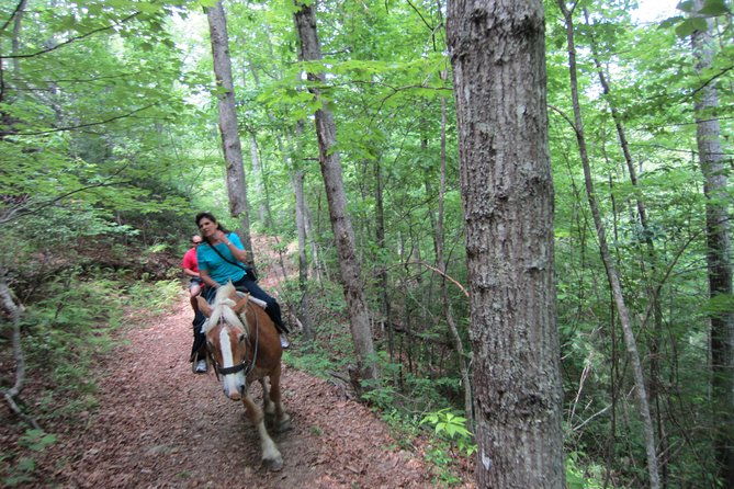 guided-horseback-ride-through-flame-azalea-and-fern-forest