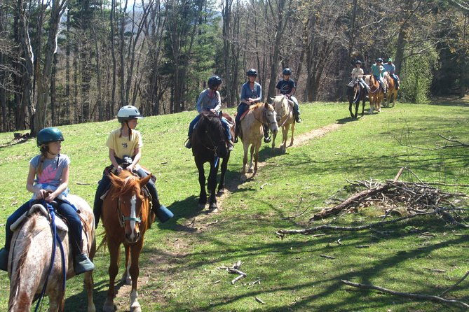 guided-horseback-ride-through-flame-azalea-and-fern-forest